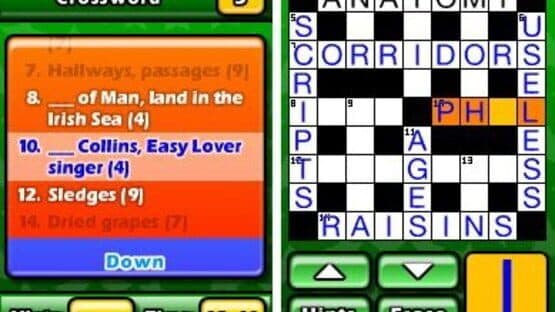 Puzzler World 2011 — screenshot 1