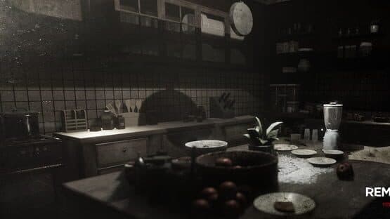 Remothered: Tormented Fathers — screenshot 3