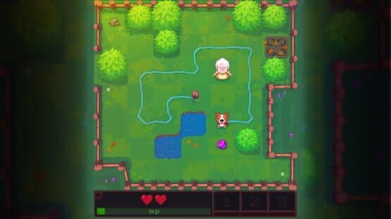 Fidel: Dungeon Rescue — screenshot 5