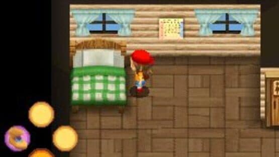 Harvest Moon DS: Sunshine Islands — screenshot 7