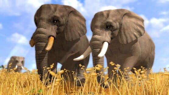 Wildlife Park 3 — screenshot 1