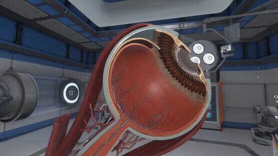 The Physiology of the Eye — screenshot 4