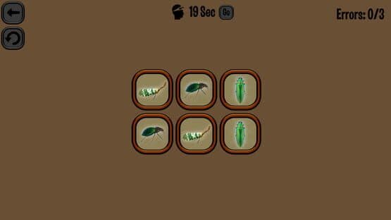 Animals Memory: Insect — screenshot 1