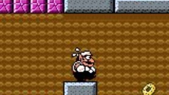 Wario Land 3 — screenshot 5