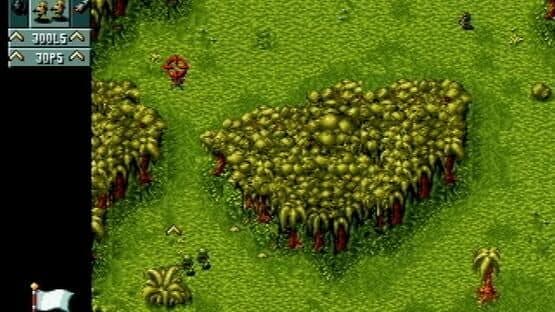 Cannon Fodder — screenshot 5
