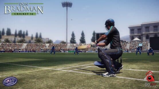 Don Bradman Cricket 14 — screenshot 4