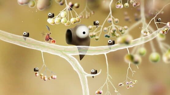 Botanicula — screenshot 3