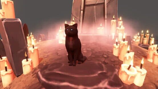 Hidden Paws Mystery — screenshot 2