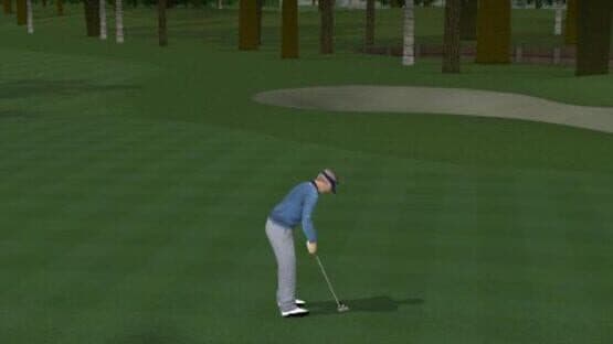 ProStroke Golf: World Tour 2007 — screenshot 1