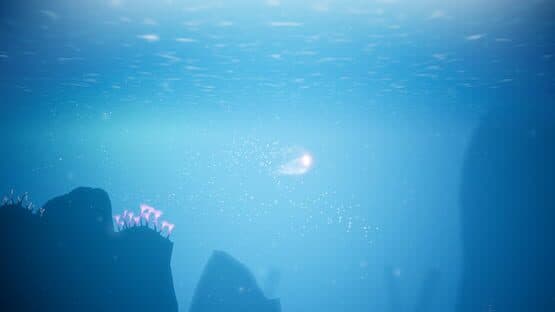 Koral — screenshot 4