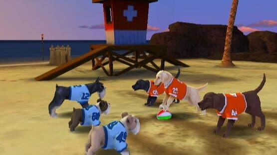 Jerry Rice & Nitus' Dog Football — screenshot 5