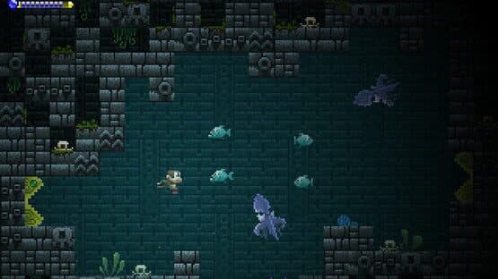Adventure Apes and the Mayan Mystery — screenshot 2