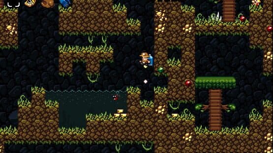 Spelunky Classic — screenshot 2