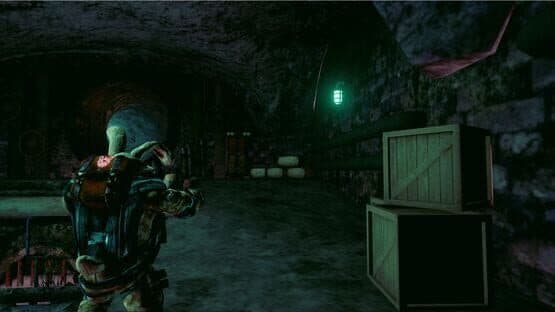 Bunny Madness Anarchy — screenshot 1