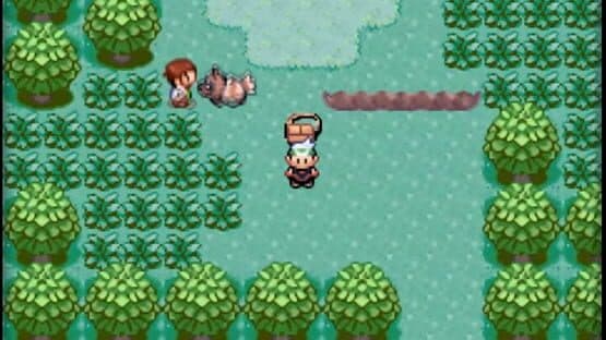 Pokémon Emerald Version — screenshot 3