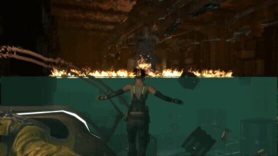 Hydrophobia: Prophecy — screenshot 5
