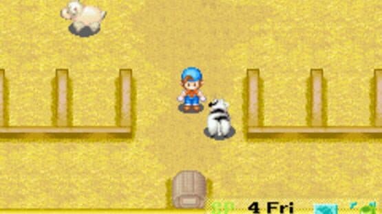 Harvest Moon: Friends of Mineral Town — screenshot 2