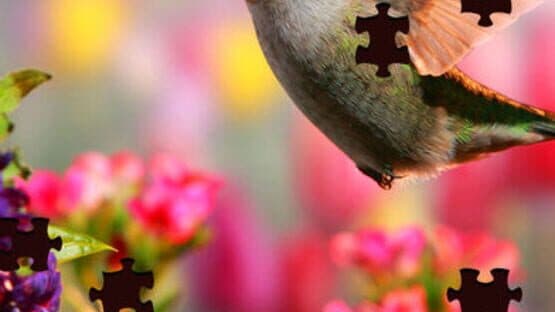 Jigsaw Puzzle Pro — screenshot 1