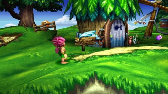 Tomba! 2: The Evil Swine Return — screenshot 1