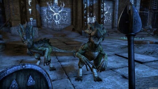 The Elder Scrolls Online — screenshot 5