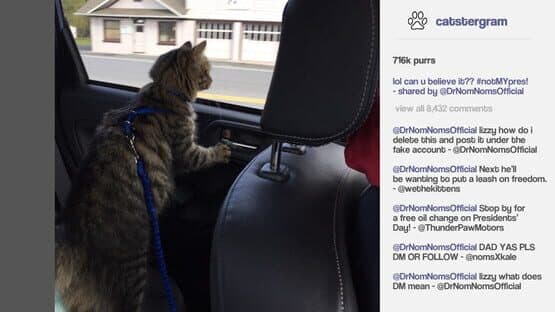 Cat President: A More Purrfect Union — screenshot 4