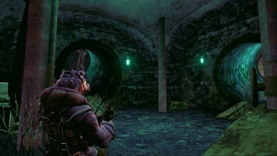 Bunny Madness Anarchy — screenshot 5