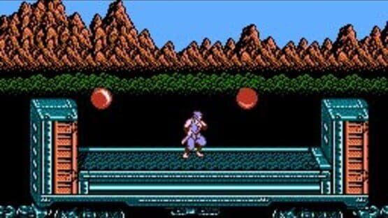 Ninja Gaiden II: The Dark Sword of Chaos — screenshot 5