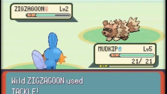 Pokémon Emerald Version — screenshot 4