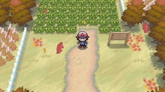 Pokémon Black Version — screenshot 6