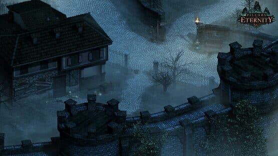 Pillars of Eternity — screenshot 2