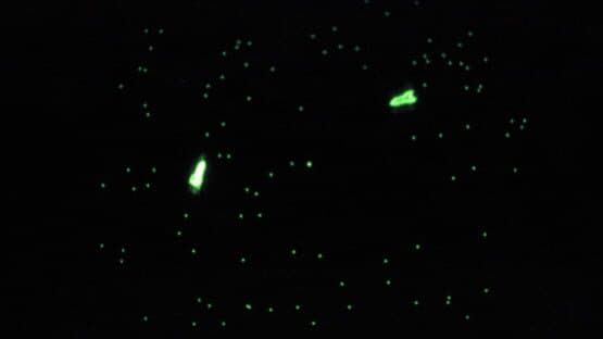 Galaxy Game — screenshot 1