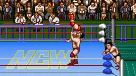 Natsume Championship Wrestling — screenshot 2