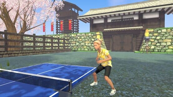 VR Ping Pong Paradise — screenshot 4