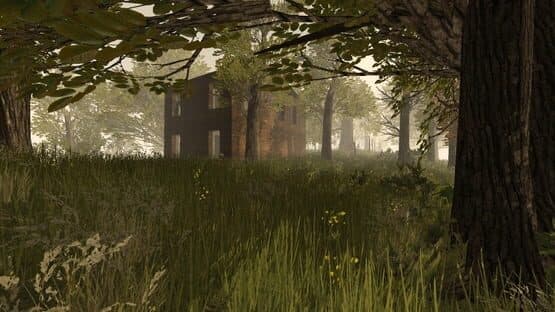 PostCollapse — screenshot 1