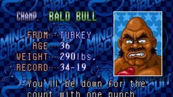 Super Punch-Out!! — screenshot 3