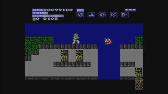Flying Dragon: The Secret Scroll — screenshot 1