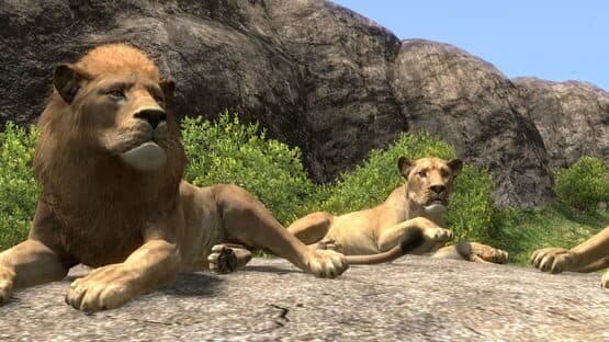 Afrika — screenshot 4