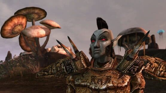 The Elder Scrolls III: Morrowind — screenshot 4