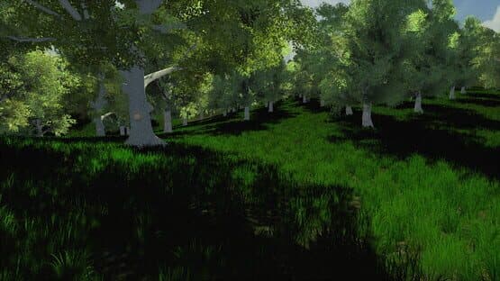 Trials of Wilderness — screenshot 4