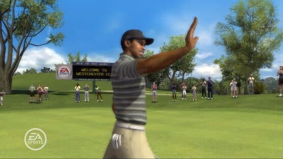 Tiger Woods PGA Tour 08 — screenshot 4