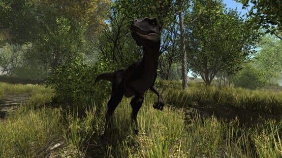 Dinosaur Forest — screenshot 3
