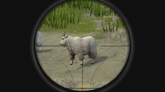 Deer Hunter Reloaded — screenshot 4