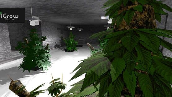 iGrow Game — screenshot 4