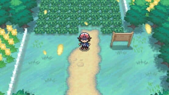 Pokémon Black Version — screenshot 5