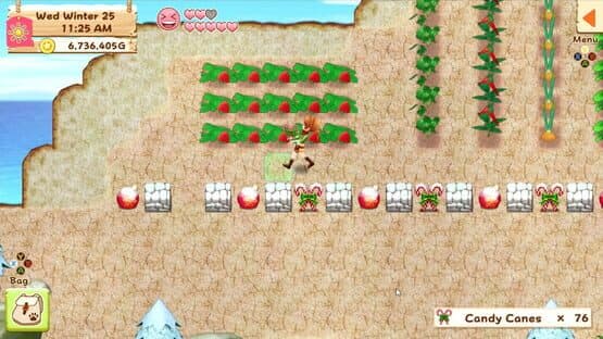 Harvest Moon: Light of Hope — screenshot 2