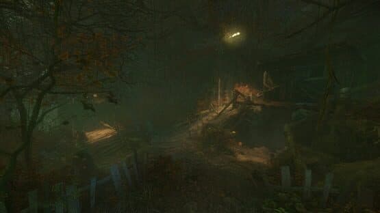 The Cursed Forest — screenshot 3