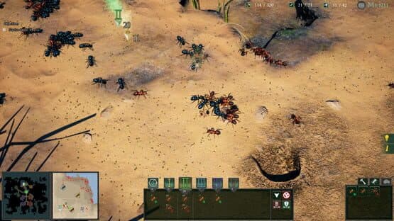 Empires of the Undergrowth — screenshot 5