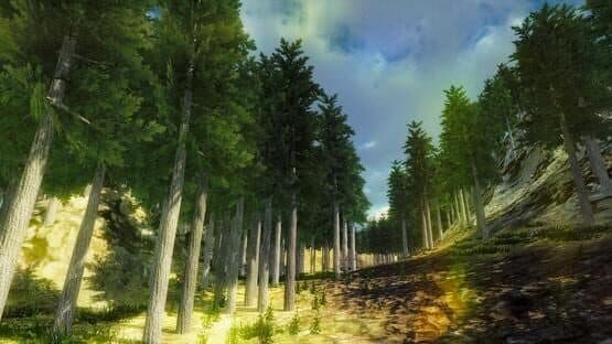 Nature Walk Simulator — screenshot 3