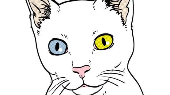 Cat Simulator — screenshot 2