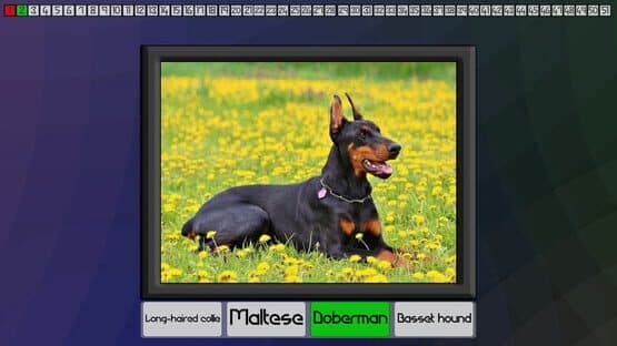 Test your knowledge: Dogs — screenshot 5